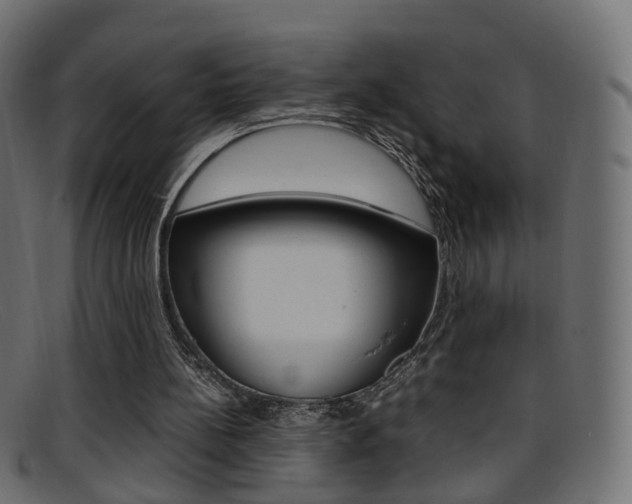 X0000095690148200801081046