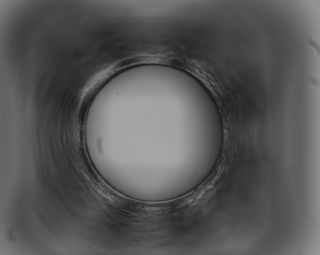 X0000095690149200801081046