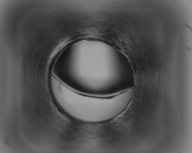 X0000095690150200801081046