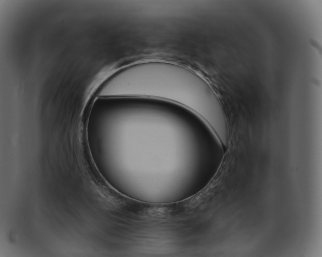 X0000095690152200801081046