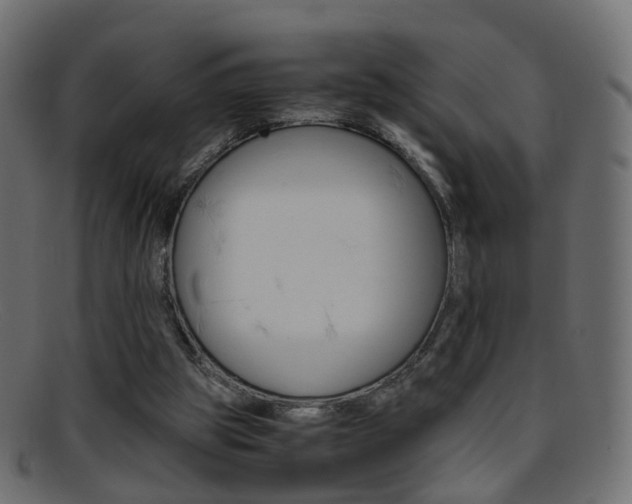 X0000095690153200801081046