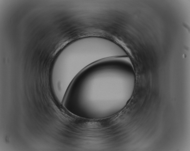 X0000095690154200801081046