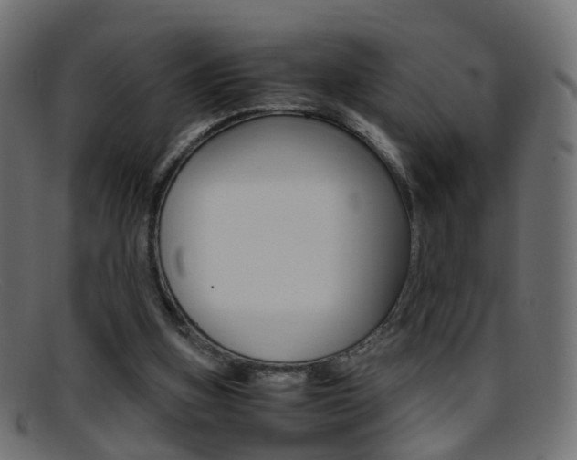 X0000095690155200801081046