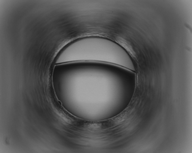 X0000095690156200801081046