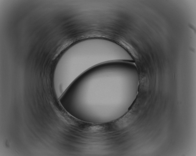 X0000095690158200801081046