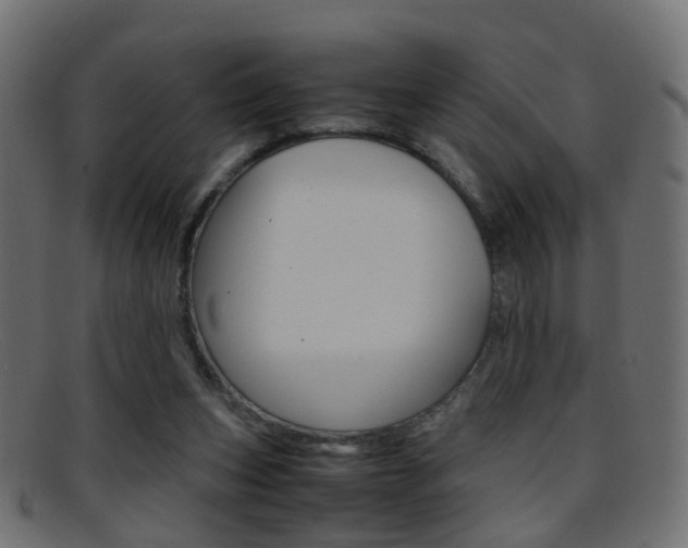 X0000095690159200801081046