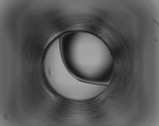 X0000095690160200801081046