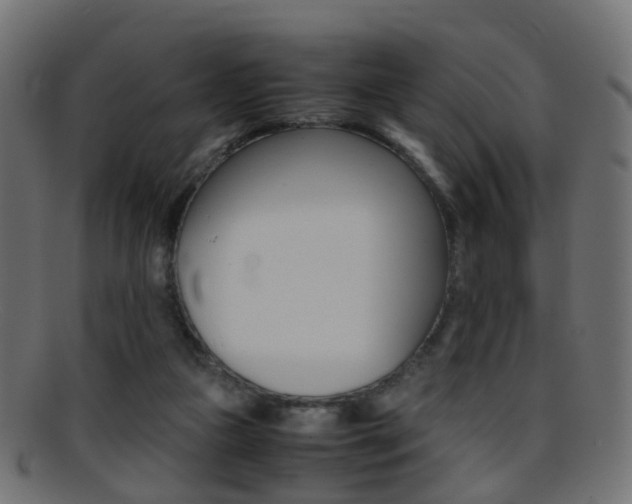 X0000095690161200801081046