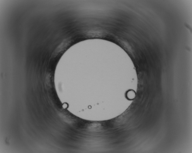 X0000095690162200801081046
