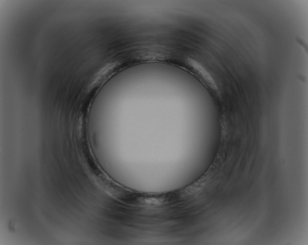 X0000095690163200801081046