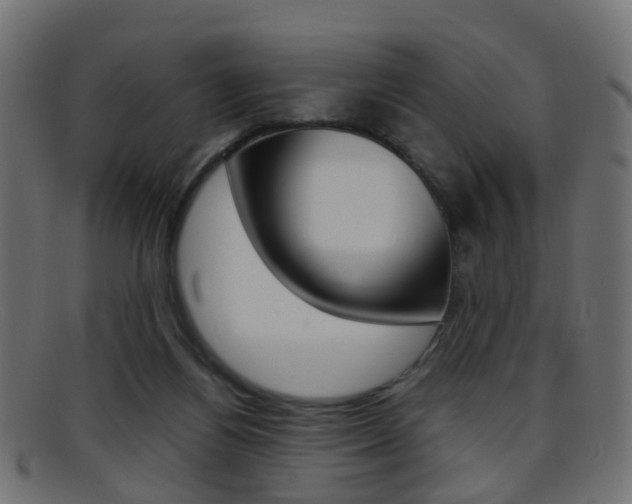 X0000095690164200801081046