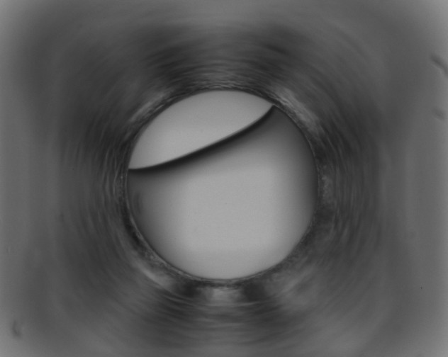 X0000095690165200801081046