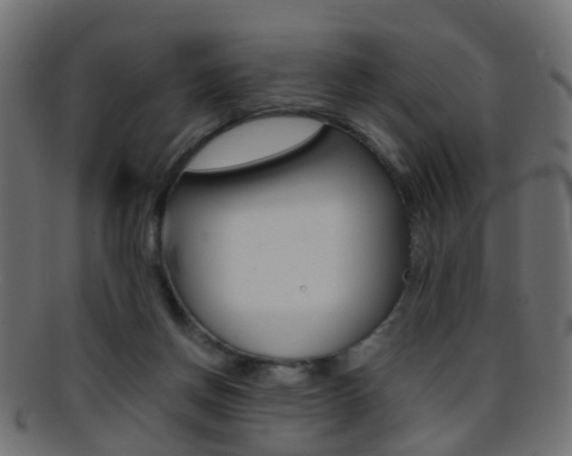 X0000095690166200801081046