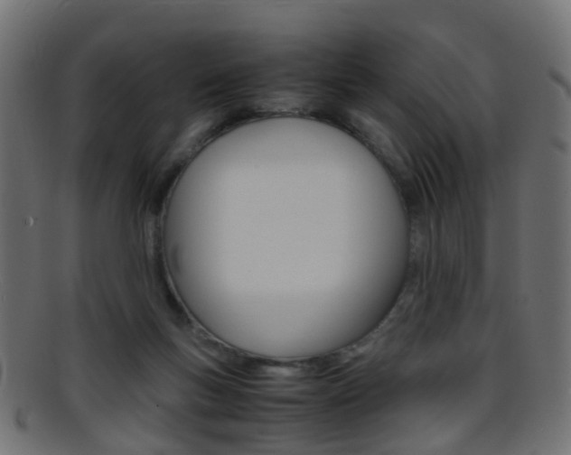 X0000095690167200801081046