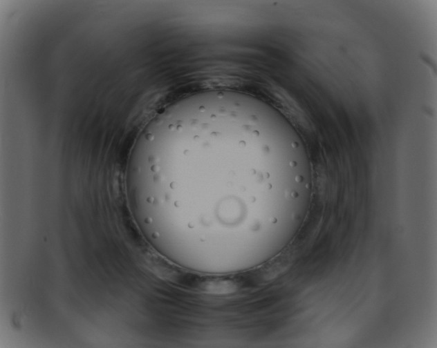 X0000095690169200801081046