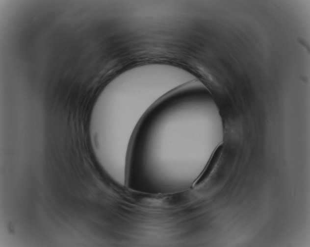 X0000095690170200801081046