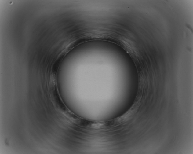 X0000095690172200801081046