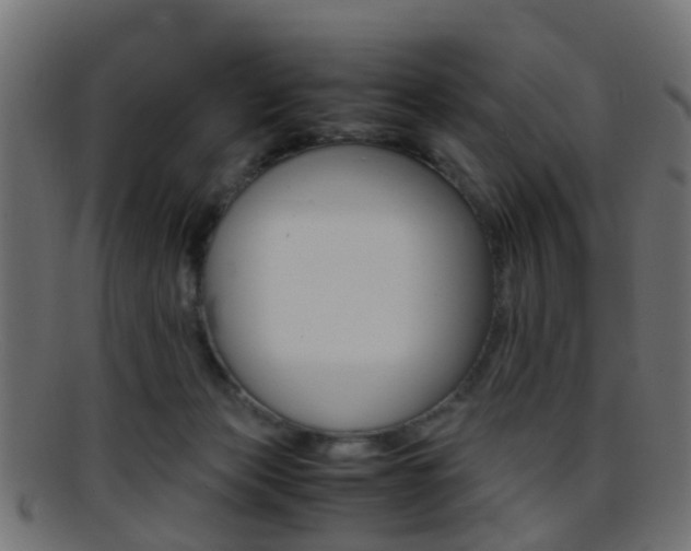 X0000095690173200801081046
