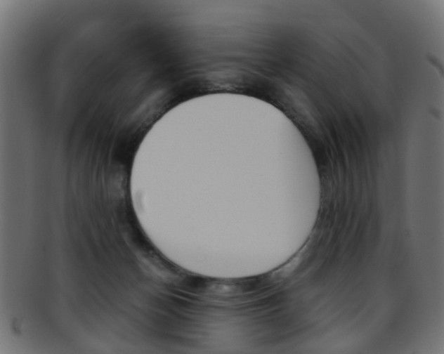 X0000095690174200801081046