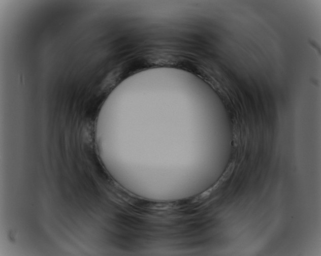 X0000095690175200801081046
