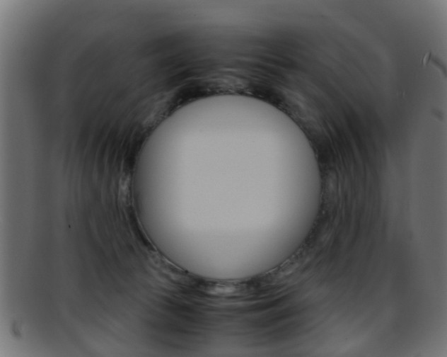 X0000095690177200801081046