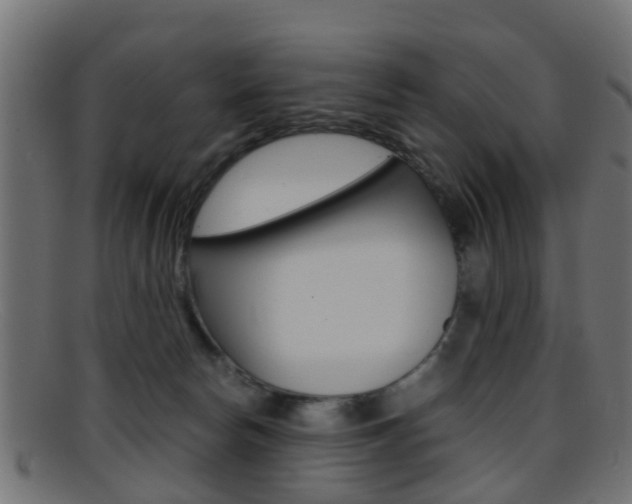 X0000095690178200801081047