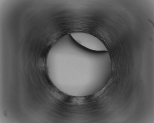 X0000095690179200801081047
