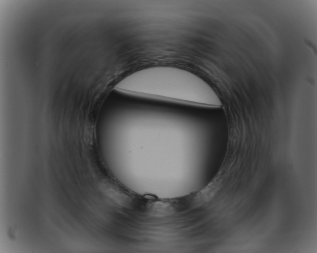 X0000095690180200801081047