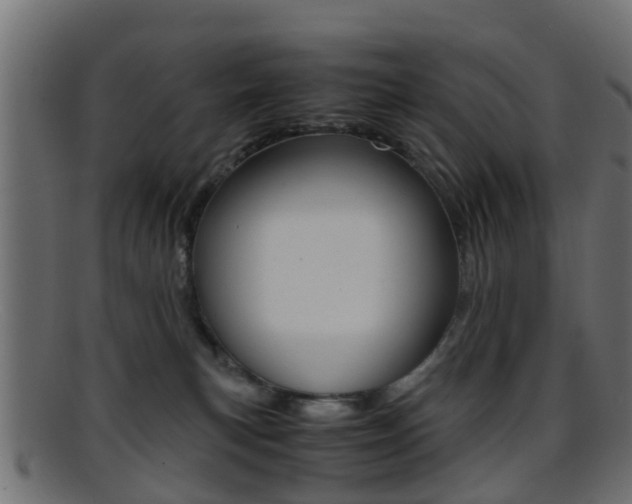 X0000095690183200801081047