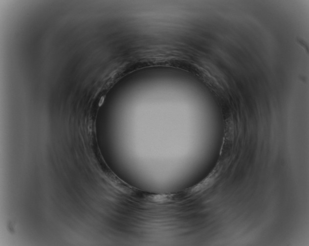 X0000095690184200801081047
