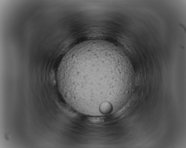 X0000095690187200801081047