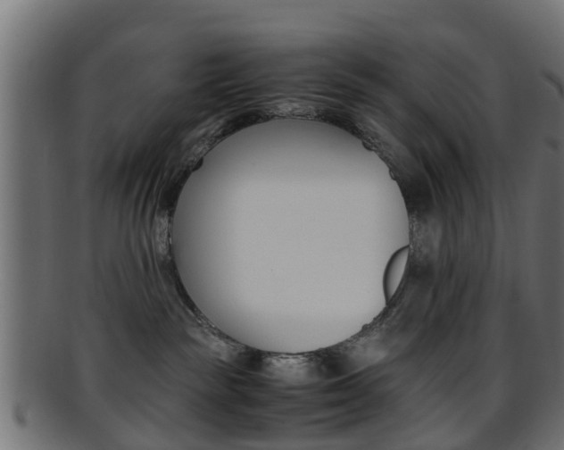 X0000095690189200801081047