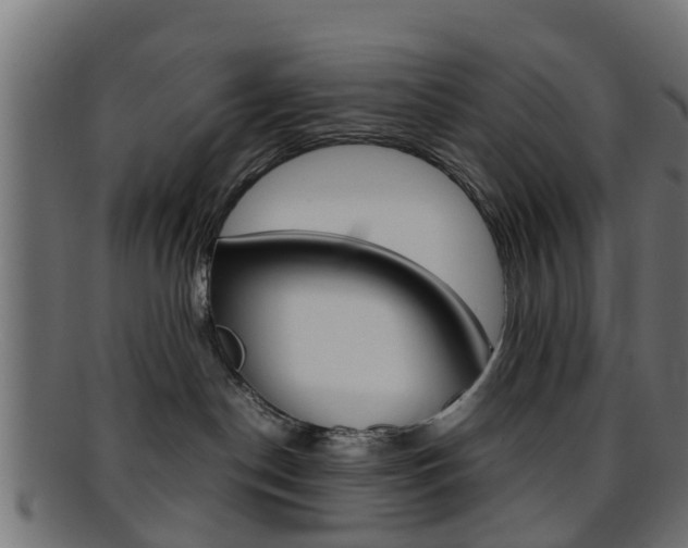 X0000095690190200801081047