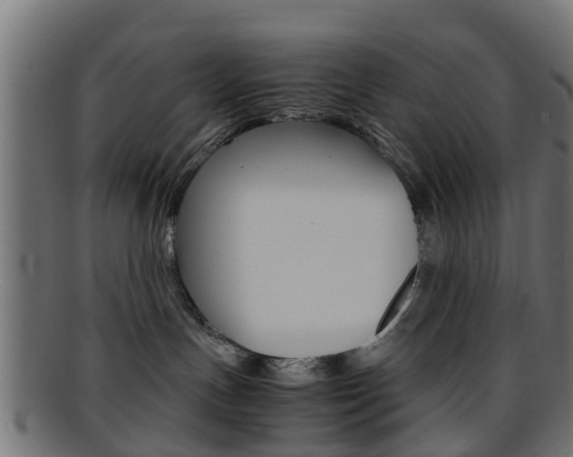 X0000095690191200801081047