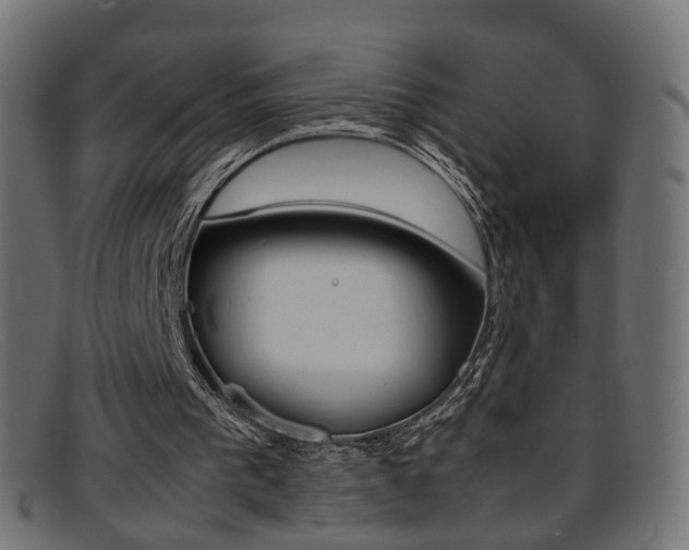 X0000095690193200801081046