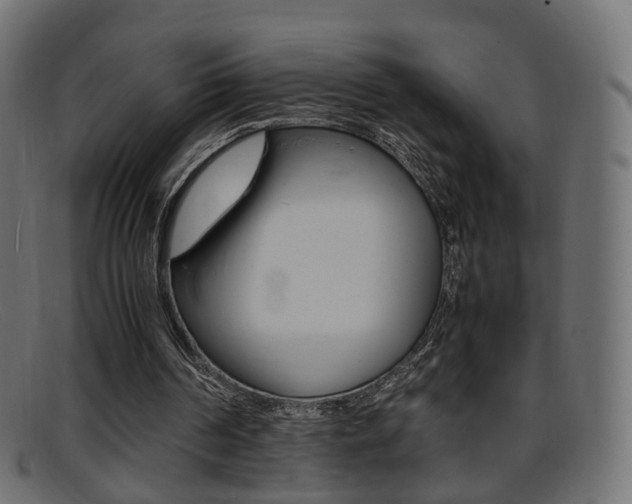 X0000095690194200801081046