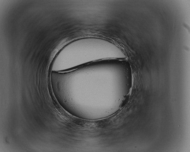 X0000095690195200801081046