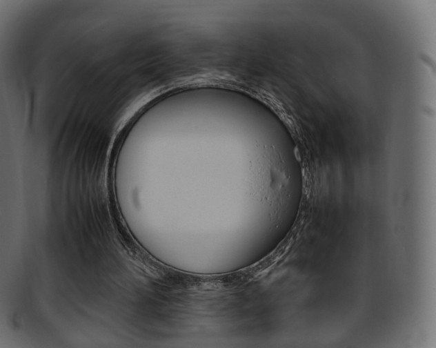 X0000095690196200801081046