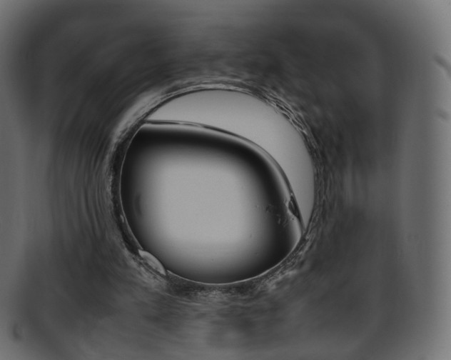 X0000095690197200801081046