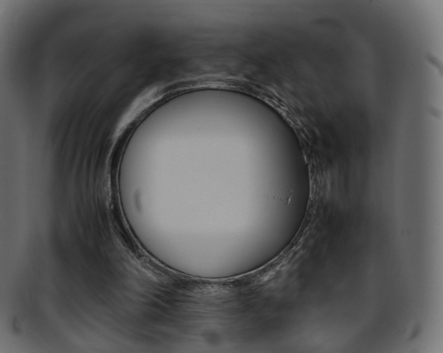 X0000095690198200801081046