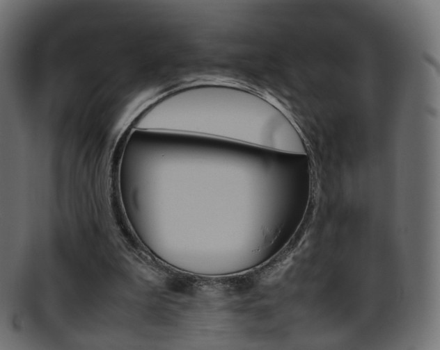 X0000095690199200801081046