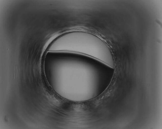 X0000095690200200801081046
