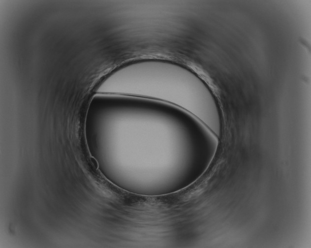 X0000095690201200801081046