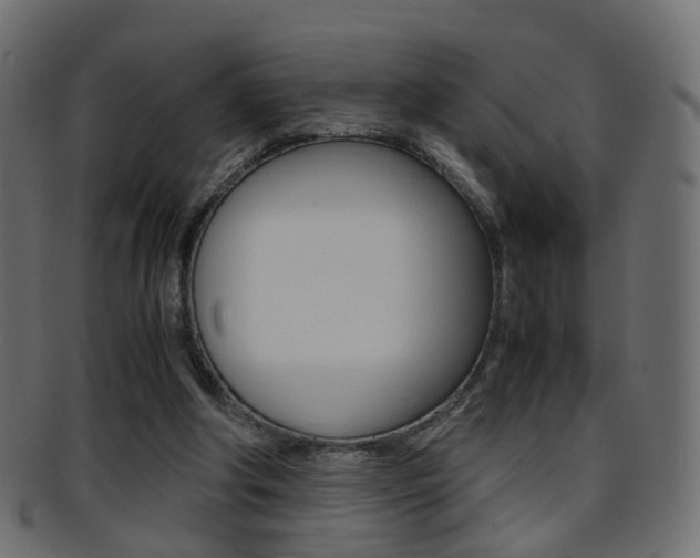 X0000095690202200801081046