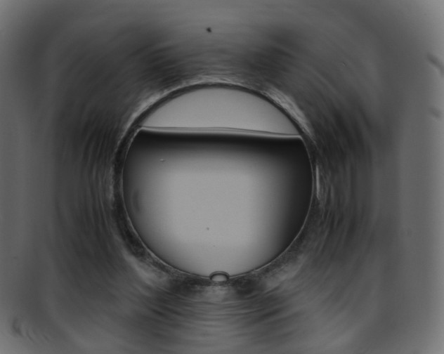 X0000095690204200801081046