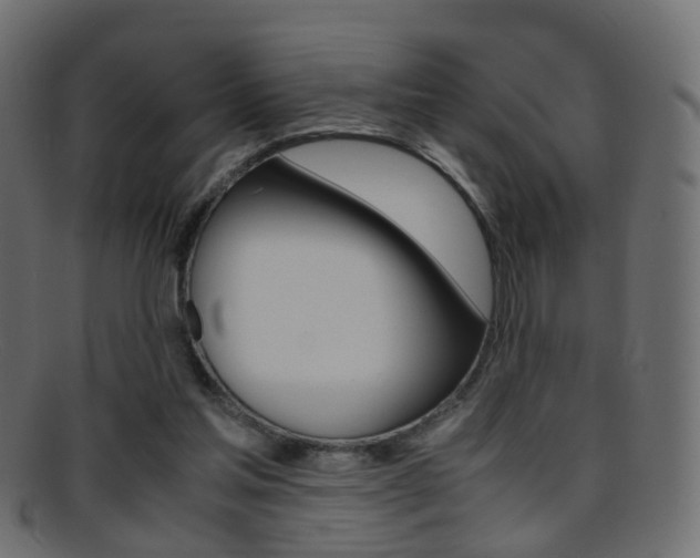X0000095690205200801081046