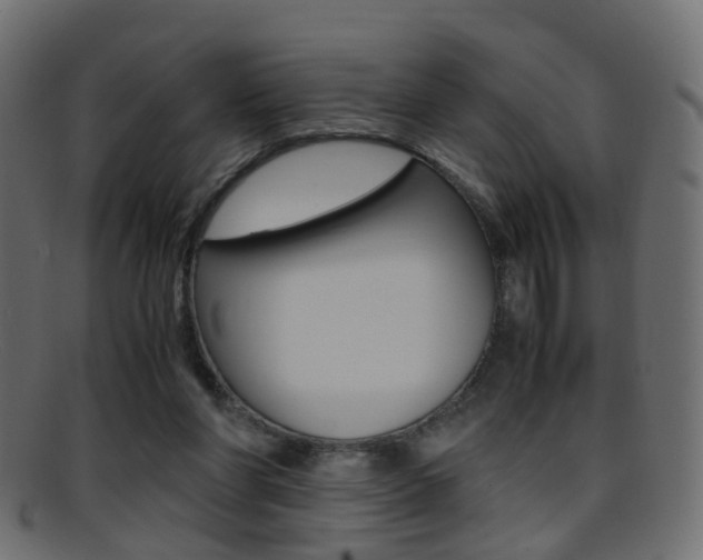 X0000095690206200801081046