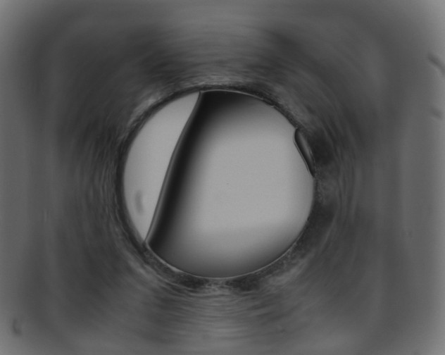 X0000095690207200801081046