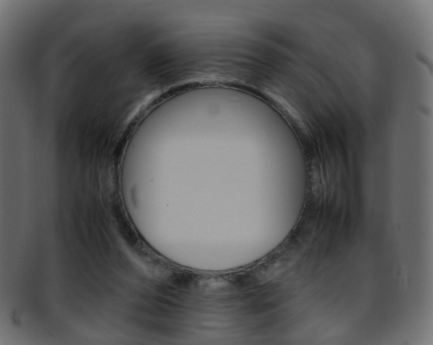 X0000095690208200801081046