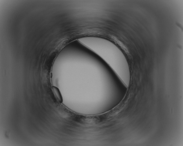 X0000095690209200801081046